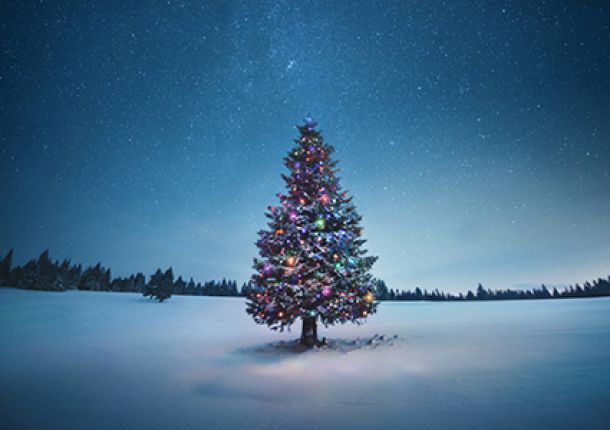 Geschmückter Weihnachtsbaum im Schnee.