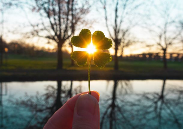 Kleeblatt in der Hand beim Sonnenaufgang