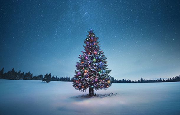 Geschmückter Weihnachtsbaum im Schnee.